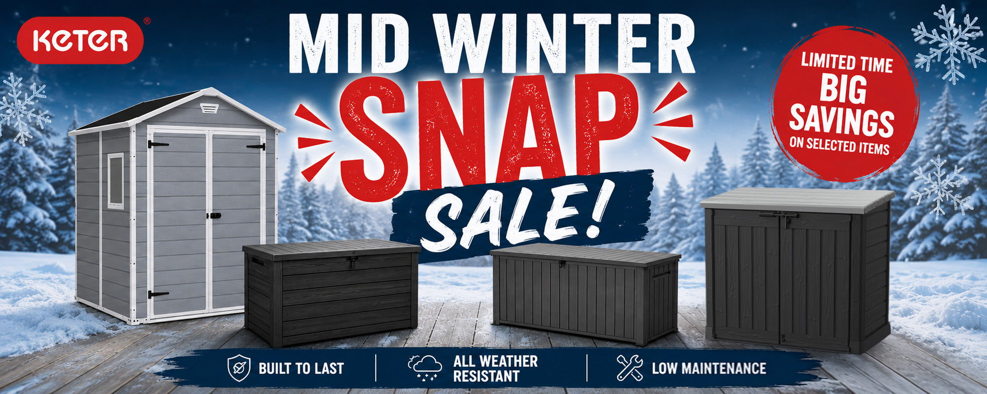 Mid Winter Snap