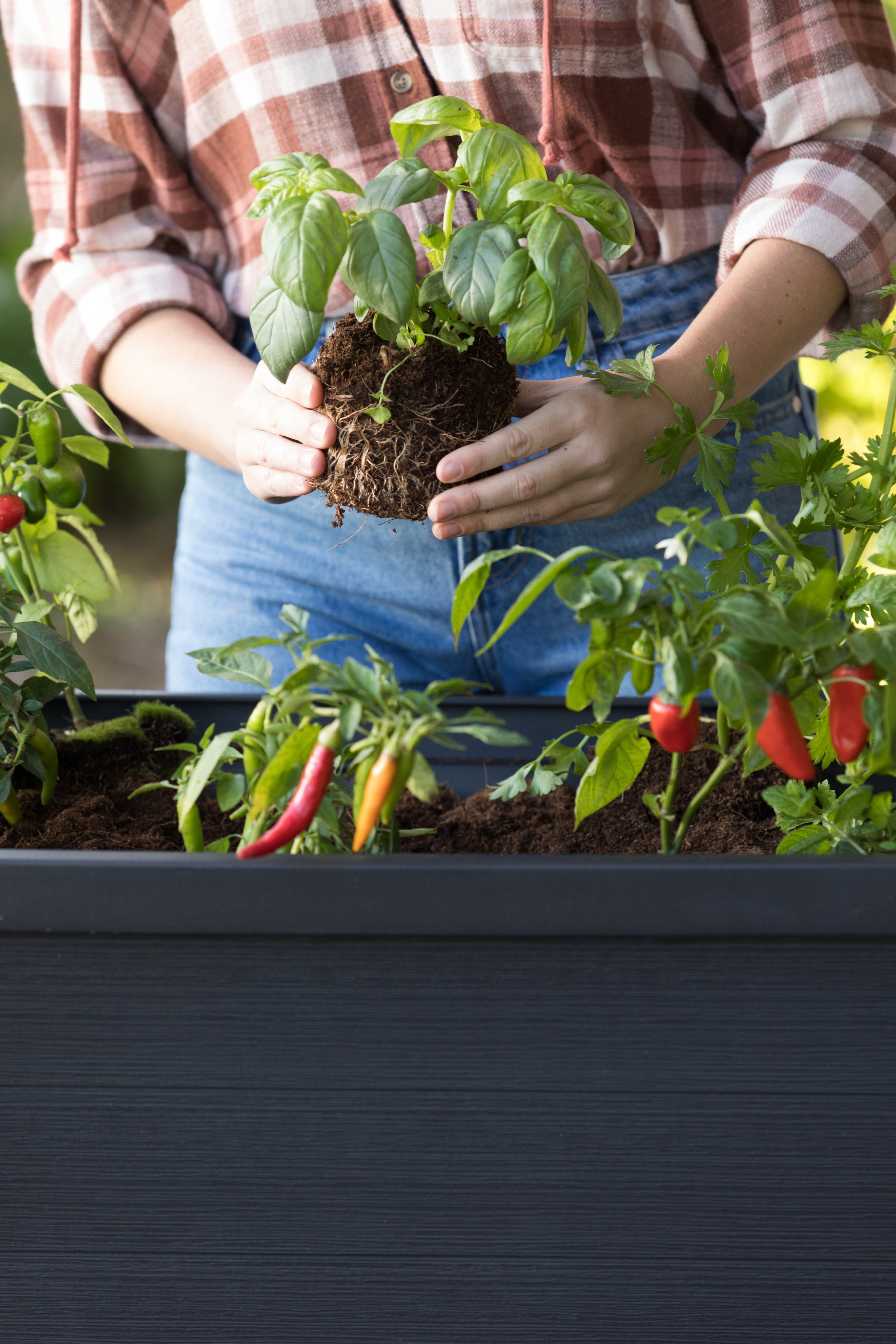 Alfresco Garden Bed 105L Keter New Zealand