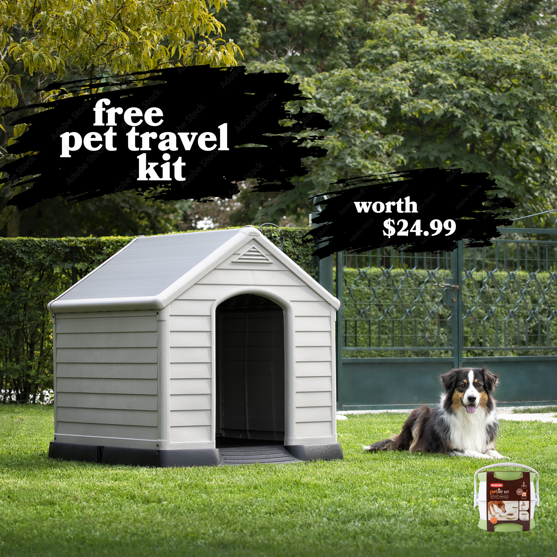 Travel online dog house