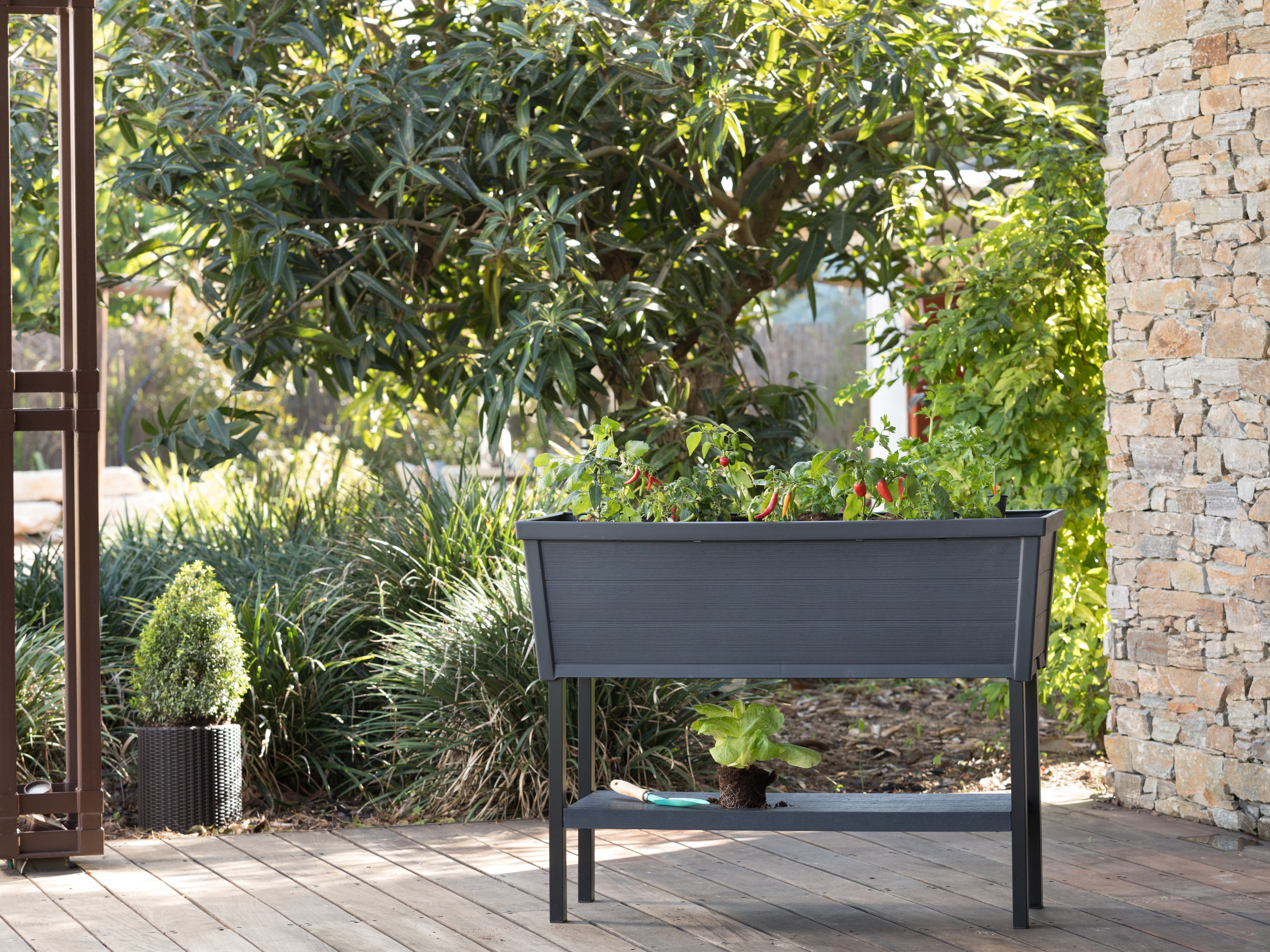 Raised garden bed for growing herbs and vegetables