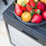 Storage box being used as a table for fruit bowl