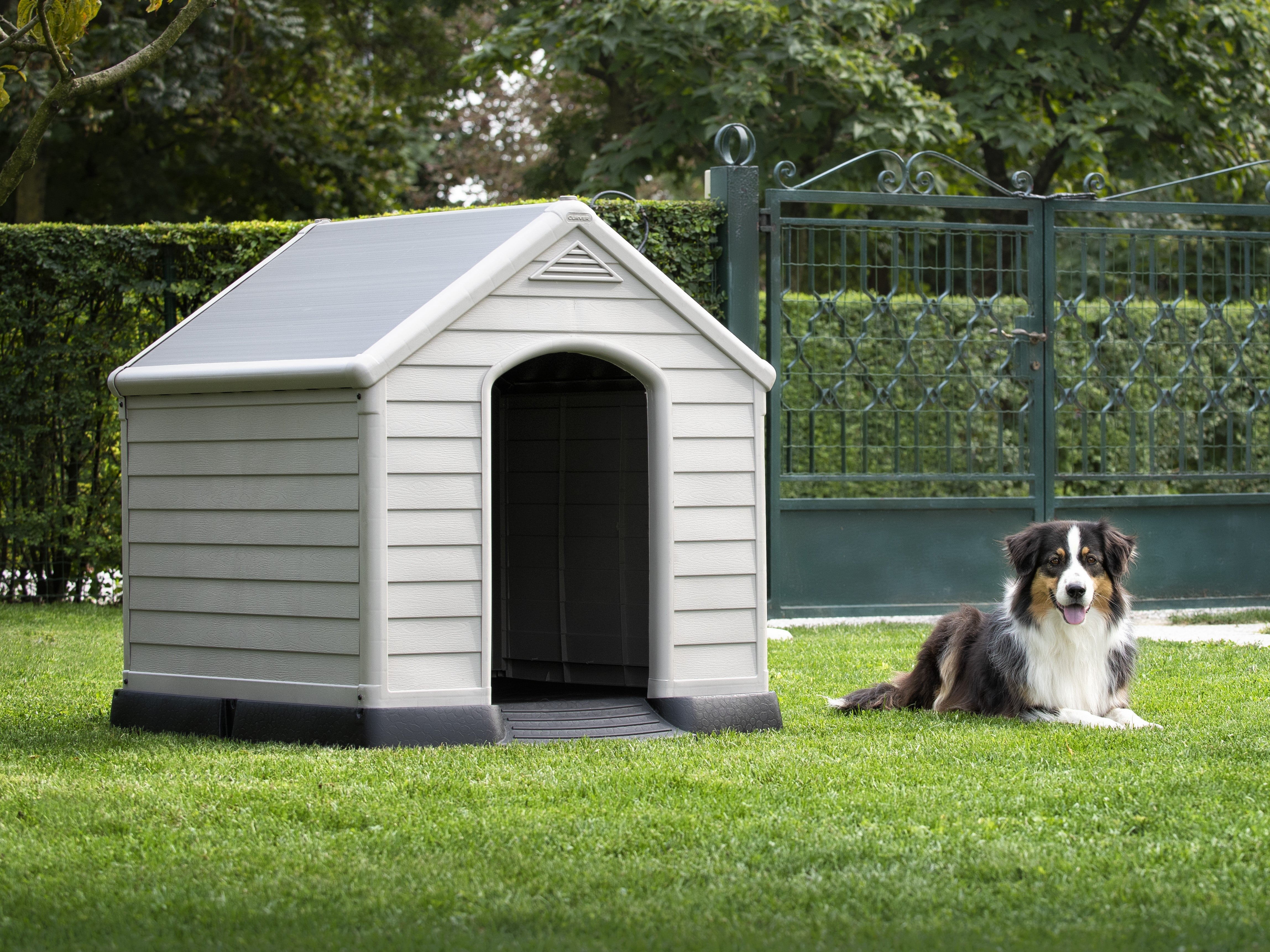 Dog sitting on lawn by a dog house