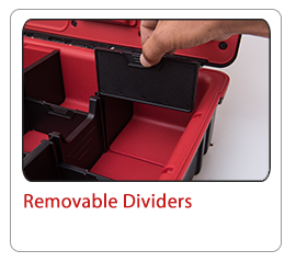Removable dividers