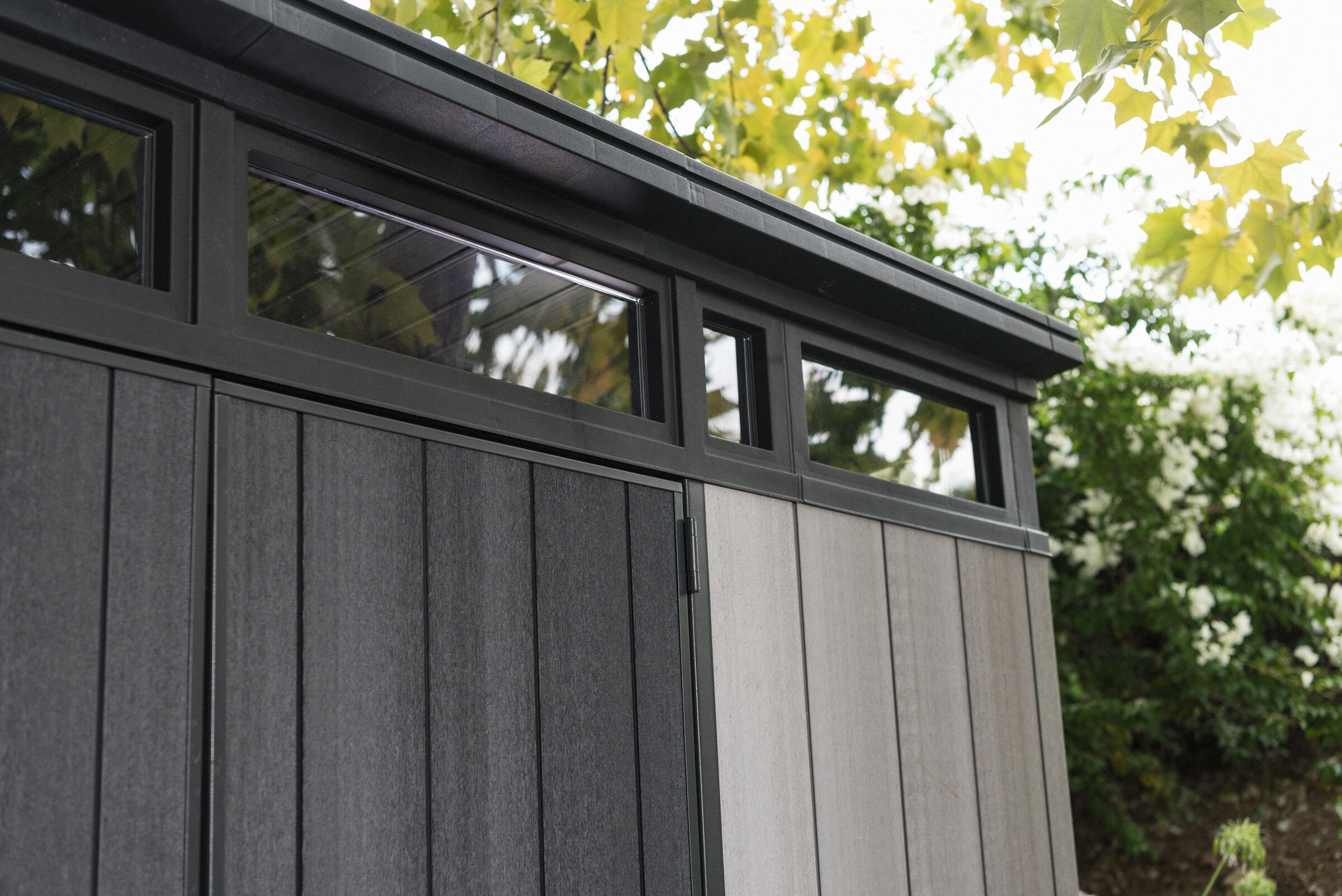 Windows letting natural light in Artisan shed