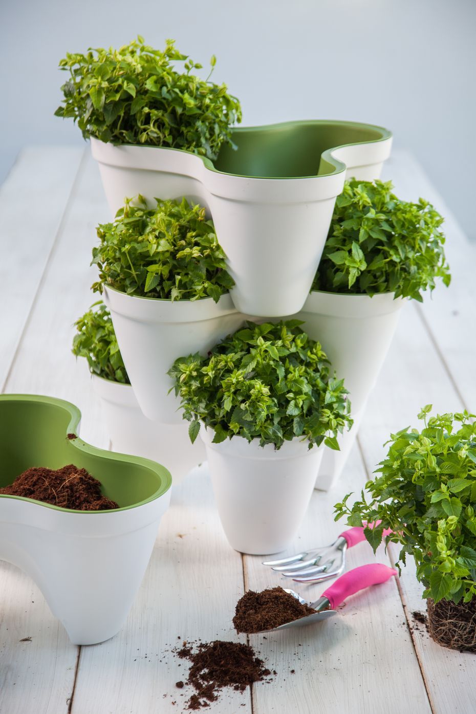 Keter Ivy planter