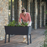 A woman planting chilies in a elevated garden bed