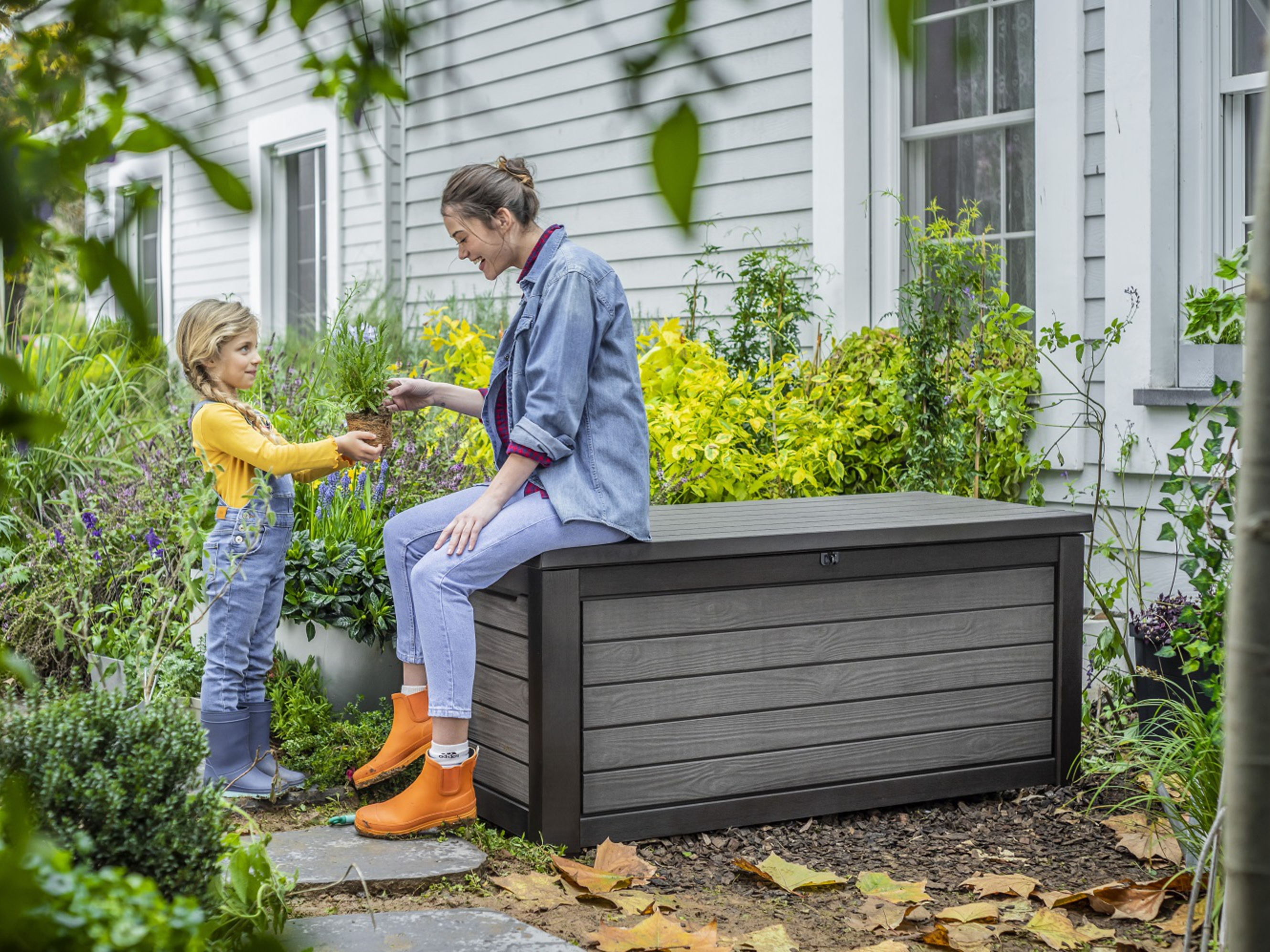 Cushion box 2025