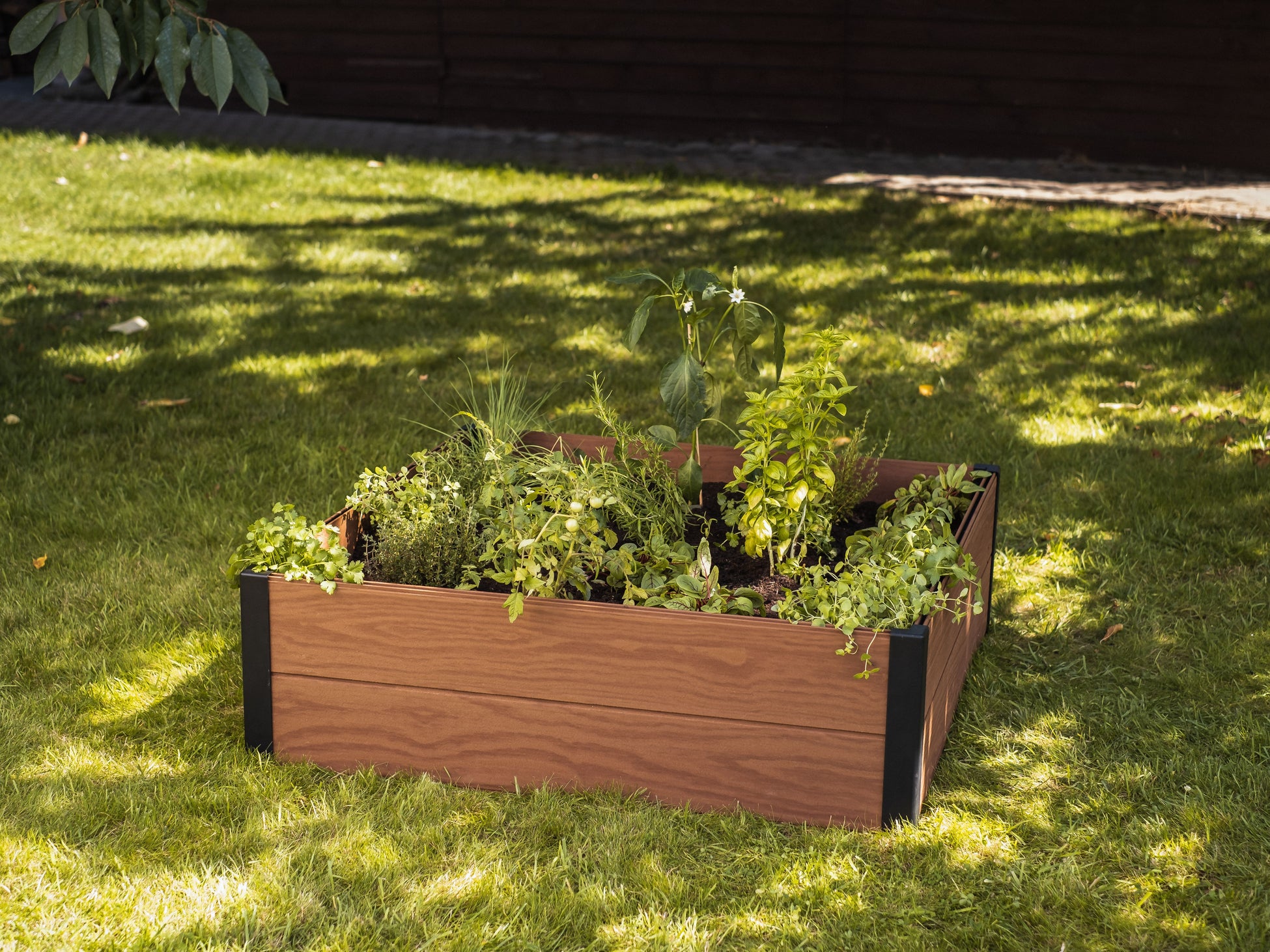 Maple Raised Garden Bed Keter New Zealand