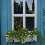 Close up of Keter Oakland 1175SD planter box on the My Shed customised blue