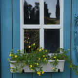 Close up of Keter Oakland 1175SD planter box on the My Shed customised blue