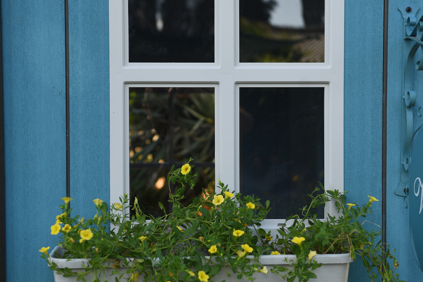 Close up of Keter Oakland 1175SD planter box on the My Shed customised blue